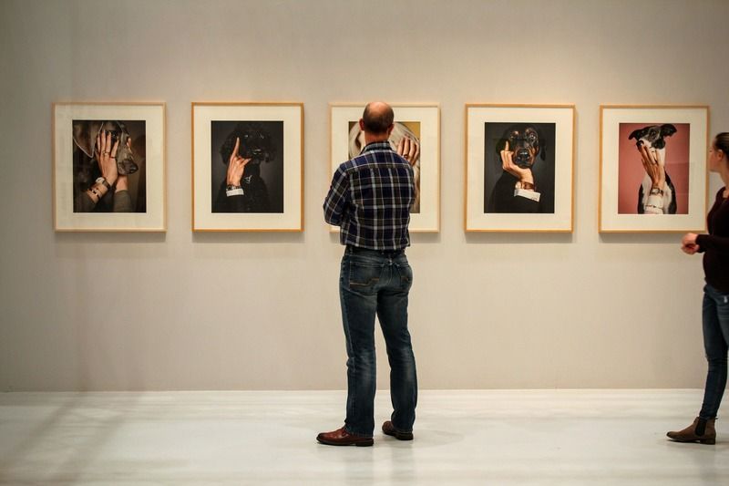 Besøgende i et kunstgalleri betragter en række fotografiske portrætter af hunde.